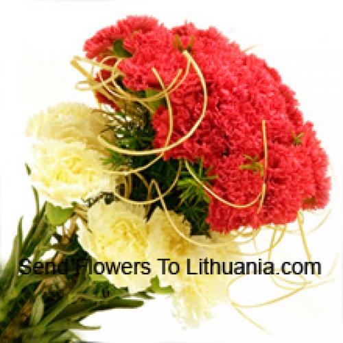 37 Red and Yellow Carnations