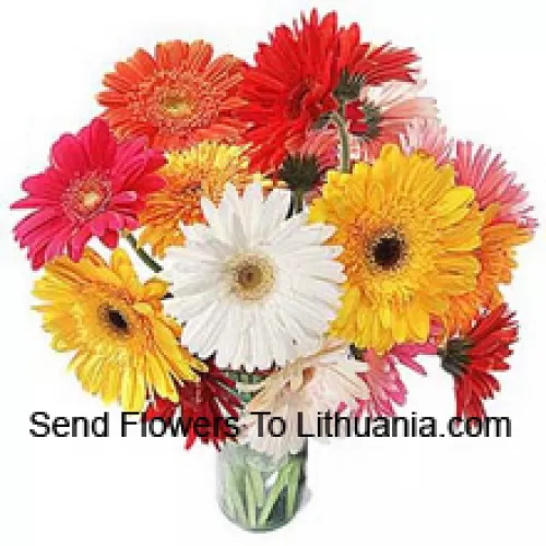 19 Gerberas Coloridas Mistas com Algumas Samambaias em um Vaso de Vidro