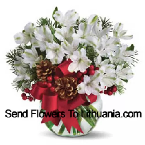 Share the magic of a white Christmas with this cheery bouquet of snowy white alstroemeria blossoms arranged in vase with festive holiday trim. (Please Note That We Reserve The Right To Substitute Any Product With A Suitable Product Of Equal Value In Case Of Non-Availability Of A Certain Product)